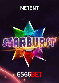 Bônus Diários 6566Bet